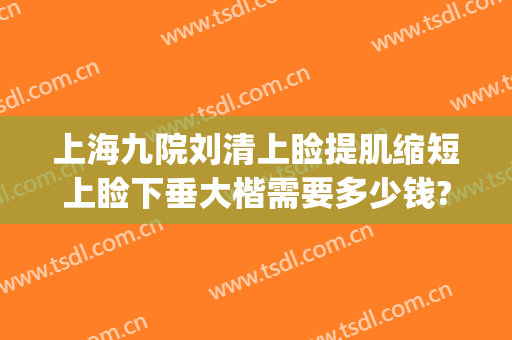 上海九院刘清上睑提肌缩短上睑下垂大楷需要多少钱?好不好?(上海九院做上睑下垂最好的是谁啊)