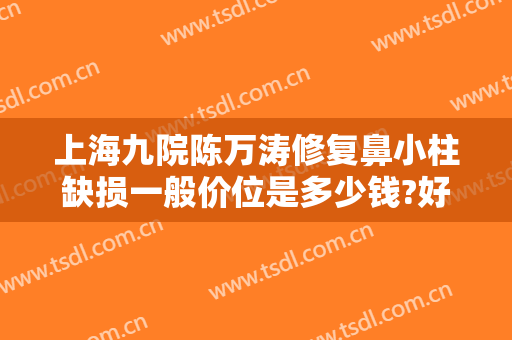 上海九院陈万涛修复鼻小柱缺损一般价位是多少钱?好不好?