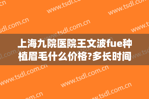 上海九院医院王文波fue种植眉毛什么价格?多长时间恢复?(上海九院可以种植眉毛吗)
