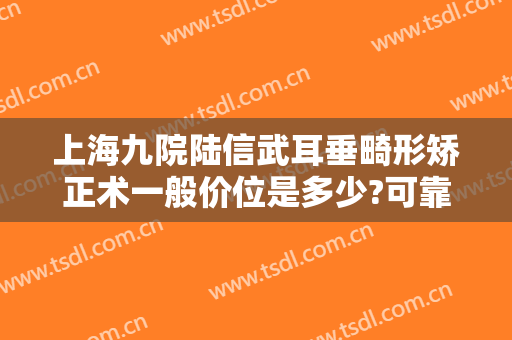 上海九院陆信武耳垂畸形矫正术一般价位是多少?可靠吗?