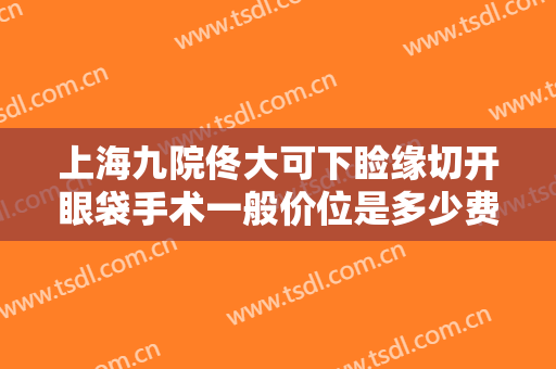 上海九院佟大可下睑缘切开眼袋手术一般价位是多少费用?好不好?