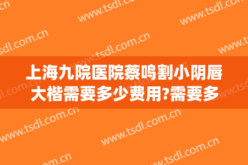 上海九院医院蔡鸣割小阴唇大楷需要多少费用?需要多久恢复?(上海九院做嘴唇多少钱)
