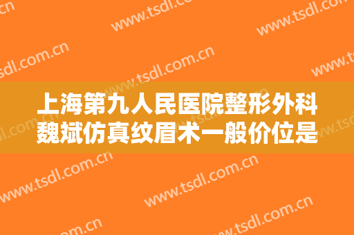 上海第九人民医院整形外科魏斌仿真纹眉术一般价位是多少?效果怎么样?