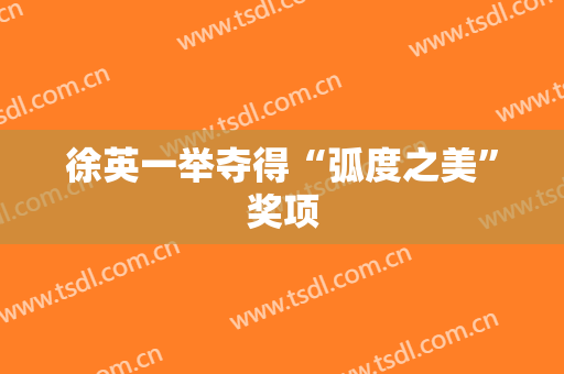 徐英一举夺得“弧度之美”奖项