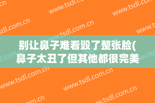 别让鼻子难看毁了整张脸(鼻子太丑了但其他都很完美)