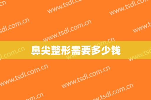 鼻尖整形需要多少钱