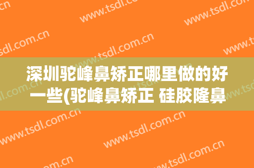 深圳驼峰鼻矫正哪里做的好一些(驼峰鼻矫正 硅胶隆鼻)