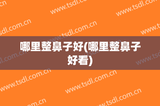 哪里整鼻子好(哪里整鼻子好看)
