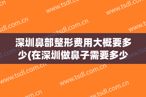 深圳鼻部整形费用大概要多少(在深圳做鼻子需要多少钱)
