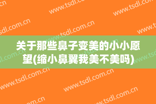 关于那些鼻子变美的小小愿望(缩小鼻翼我美不美吗)