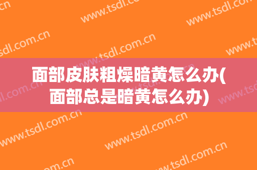 面部皮肤粗燥暗黄怎么办(面部总是暗黄怎么办)