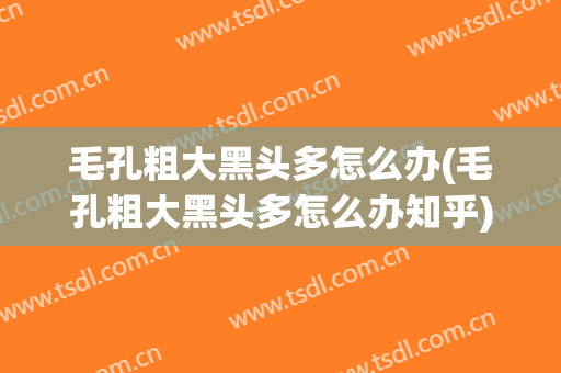 毛孔粗大黑头多怎么办(毛孔粗大黑头多怎么办知乎)