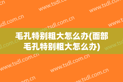 毛孔特别粗大怎么办(面部毛孔特别粗大怎么办)