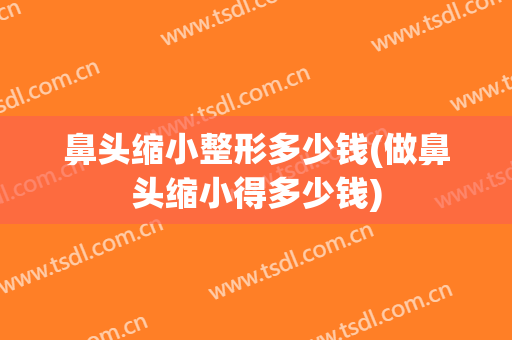 鼻头缩小整形多少钱(做鼻头缩小得多少钱)