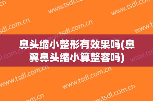 鼻头缩小整形有效果吗(鼻翼鼻头缩小算整容吗)