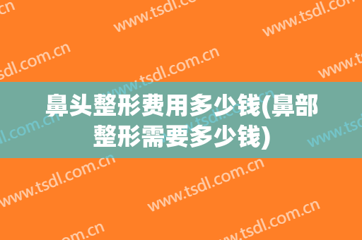 鼻头整形费用多少钱(鼻部整形需要多少钱)
