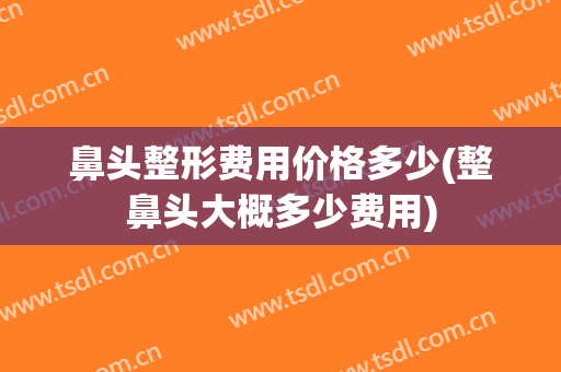 鼻头整形费用价格多少(整鼻头大概多少费用)