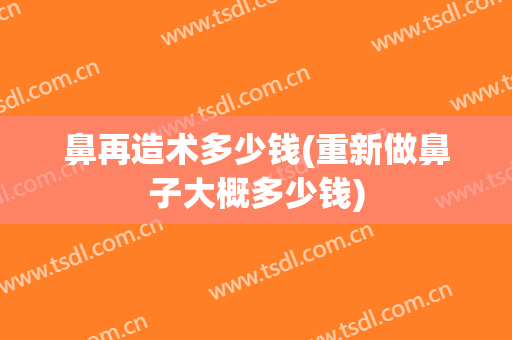 鼻再造术多少钱(重新做鼻子大概多少钱)