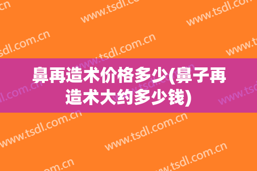 鼻再造术价格多少(鼻子再造术大约多少钱)