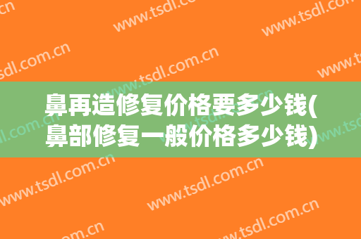 鼻再造修复价格要多少钱(鼻部修复一般价格多少钱)
