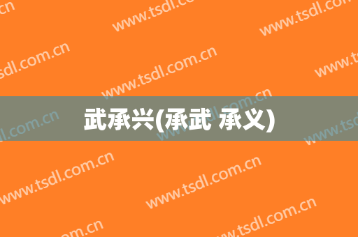 武承兴(承武 承义)