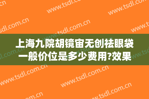 上海九院胡镜宙无创祛眼袋一般价位是多少费用?效果怎么样?(上海第九人民医院祛眼袋)