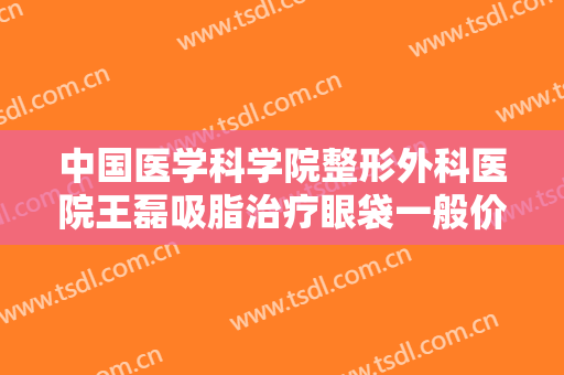 中国医学科学院整形外科医院王磊吸脂治疗眼袋一般价位是多少?效果怎么样?