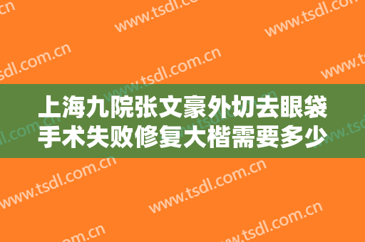 上海九院张文豪外切去眼袋手术失败修复大楷需要多少费用?效果怎么样?