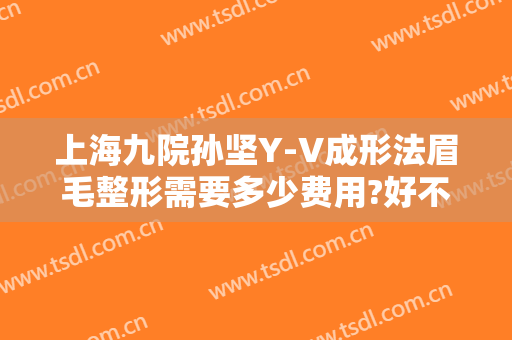 上海九院孙坚Y-V成形法眉毛整形需要多少费用?好不好?