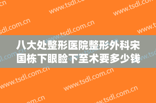 八大处整形医院整形外科宋国栋下眼睑下至术要多少钱?贵不贵?(北京八大处医院割双眼皮价格)
