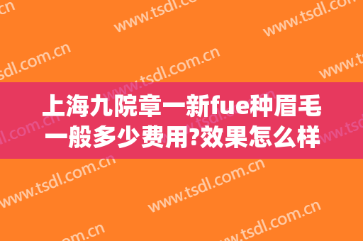 上海九院章一新fue种眉毛一般多少费用?效果怎么样?(上海九院切眉多少钱)