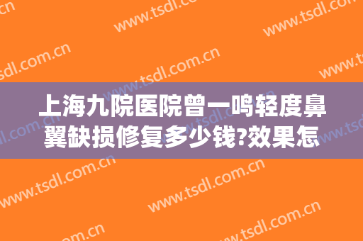 上海九院医院曾一鸣轻度鼻翼缺损修复多少钱?效果怎么样?(上海九院隆鼻修复最好的医生)