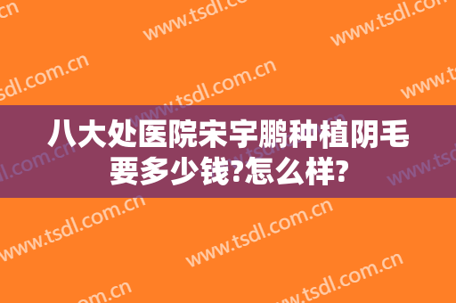 八大处医院宋宇鹏种植阴毛要多少钱?怎么样?