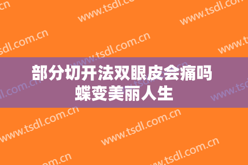 部分切开法双眼皮会痛吗 蝶变美丽人生